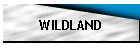 WILDFIRE
