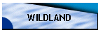 WILDFIRE