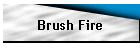 Brush Fire