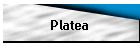 Platea
