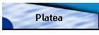 Platea